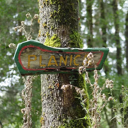 Planica Holiday home *