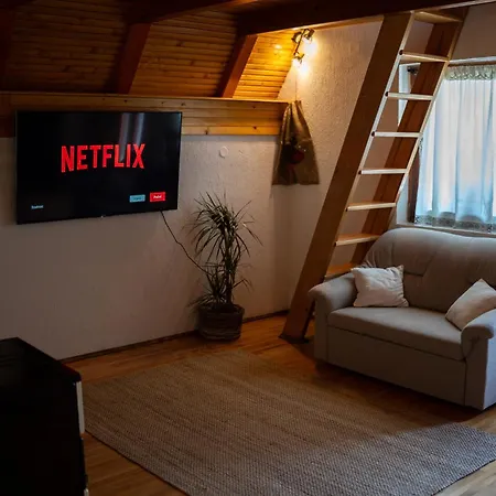 Planica Holiday home *